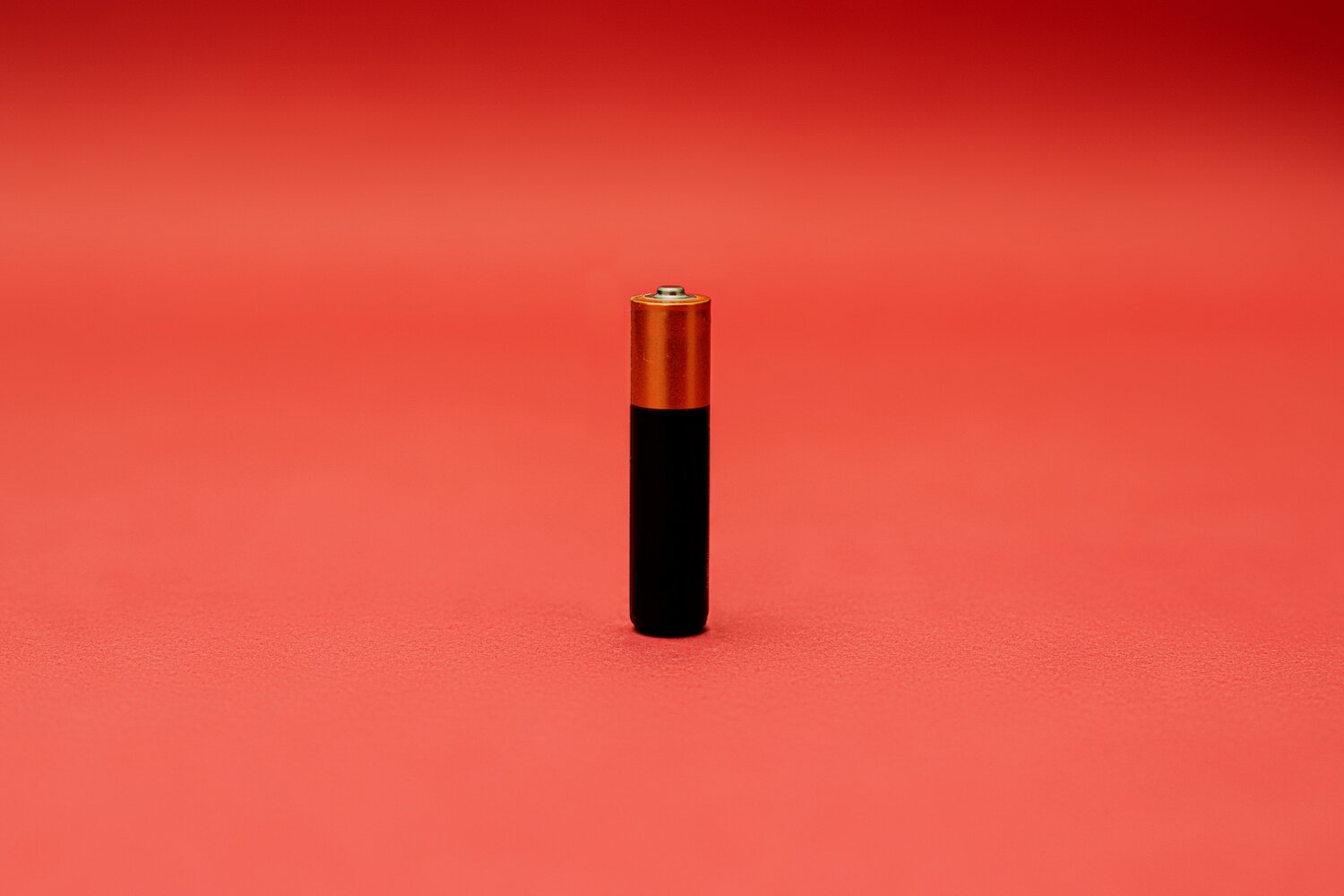 /assets/blog/danilo-alvesd-w1p05F4gyNg-unsplash.jpg